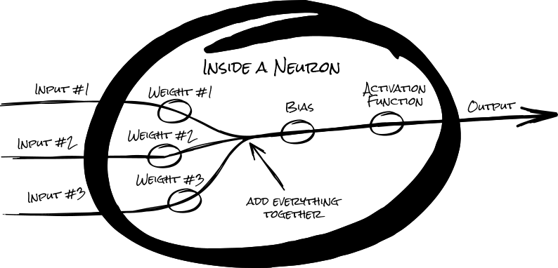 4 inputs are multipleid by their 4 weights. Then the sum of these inputs are edjusted by an activation function before becomeing the neuron's sole output.
